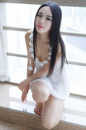 cupfox茶杯狐_在线免费观看电视剧