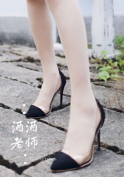 《女士的法则》电视剧_1080在线视频播放