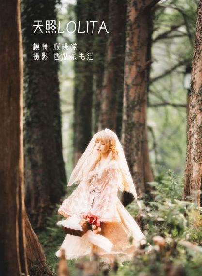 最后的99天电视剧免费观看_高清电视剧观看